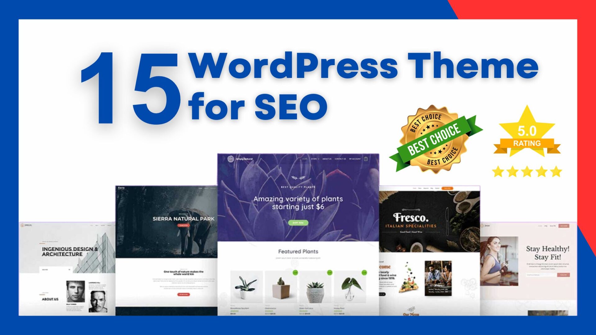 WordPress Theme for SEO